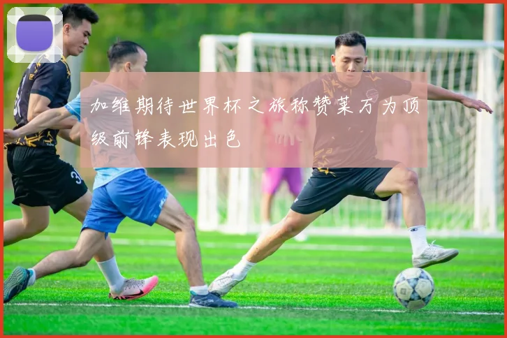 加维期待世界杯之旅称赞莱万为顶级前锋表现出色